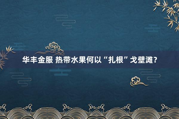 华丰金服 热带水果何以“扎根”戈壁滩？