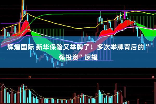 辉煌国际 新华保险又举牌了！多次举牌背后的“强投资”逻辑