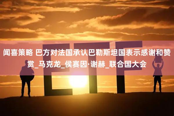 闻喜策略 巴方对法国承认巴勒斯坦国表示感谢和赞赏_马克龙_侯赛因·谢赫_联合国大会