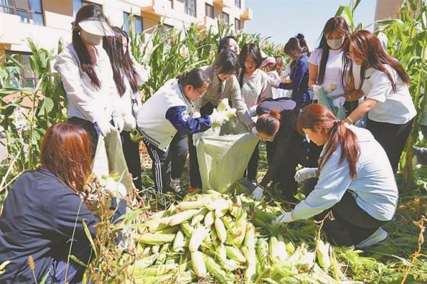 互盈策略 哈尔滨剑桥学院 将课堂延伸至田间地头